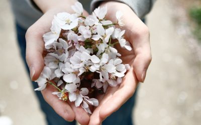 Hur kan man använda Reiki för att få mer energi när man är utbränd?